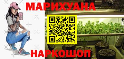 сатива Нарткала