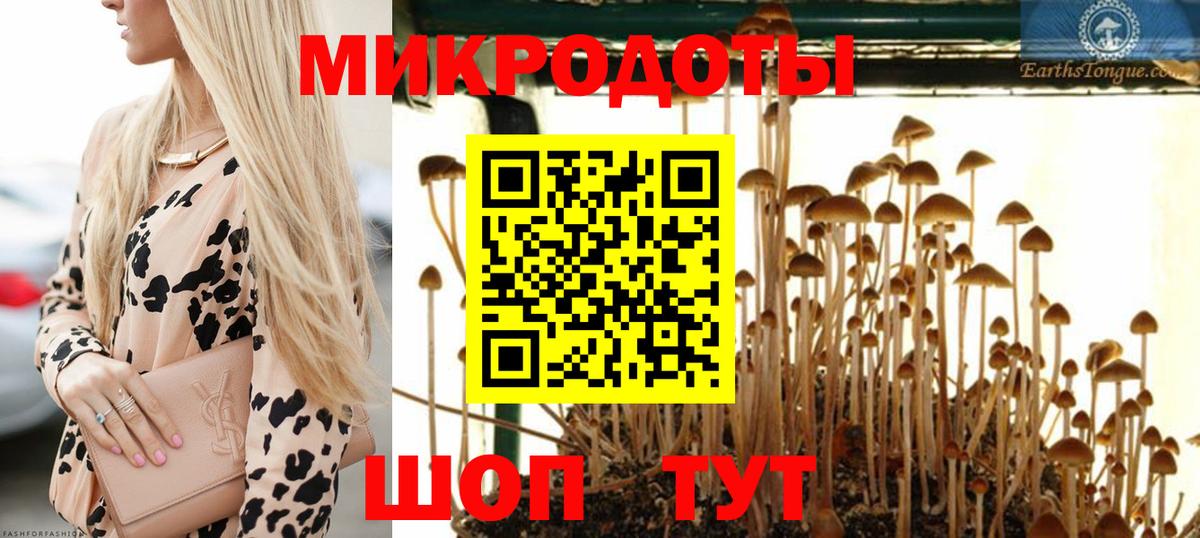 Тула  Галлюциногенные грибы GOLDEN TEACHER  Вход с VPN 